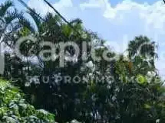 Terreno / Lote para Venda em Ilhabela/SP Armação