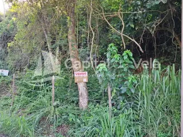 Terreno / Lote para Venda em Ilhabela/SP Barra Velha