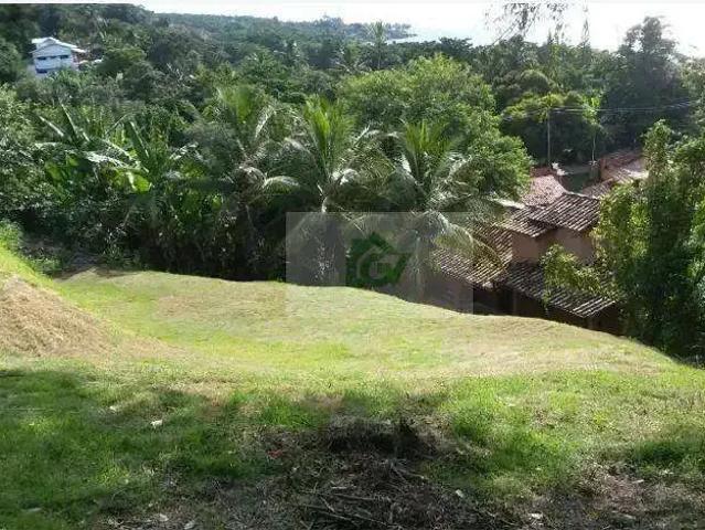 Terreno / Lote para Venda em Ilhabela/SP Curral