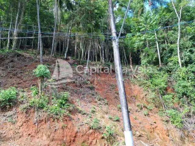 Terreno / Lote para Venda em Ilhabela/SP Feiticeira