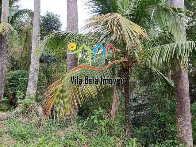 Terreno / Lote para Venda em Ilhabela/SP Itapecirica