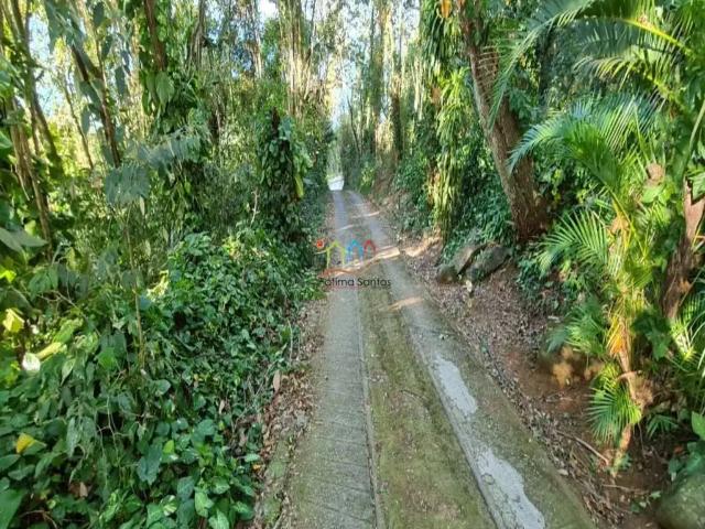 Terreno / Lote para Venda em Ilhabela/SP Pacuíba