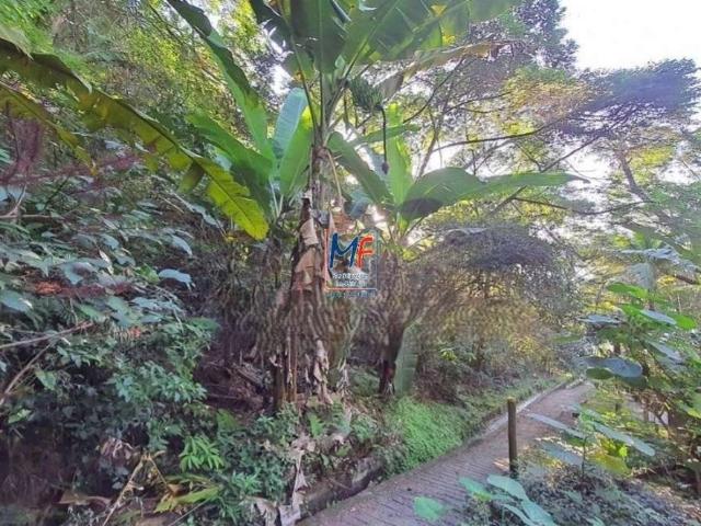 Terreno / Lote para Venda em Ilhabela/SP Perequê