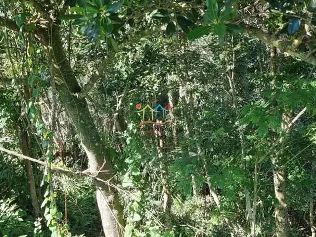 Terreno / Lote para Venda em Ilhabela/SP Piúva