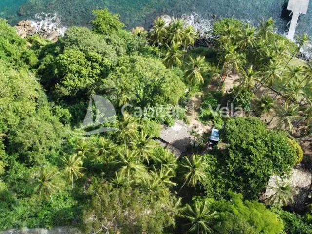 Terreno / Lote para Venda em Ilhabela/SP Ponta das Canas