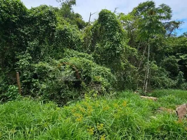 Terreno / Lote para Venda em Ilhabela/SP São Pedro