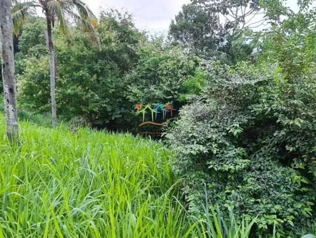 Terreno / Lote para Venda em Ilhabela/SP São Pedro