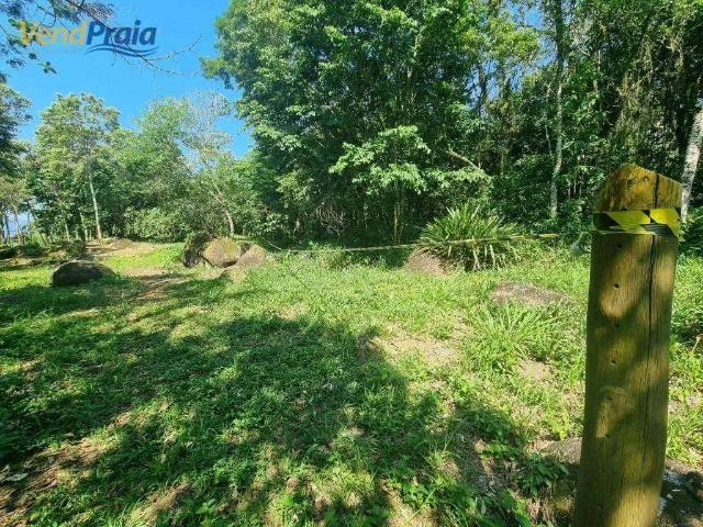 Terreno / Lote para Venda em Ilhabela/SP São Pedro