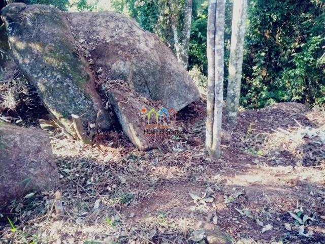 Terreno / Lote para Venda em Ilhabela/SP Taubaté