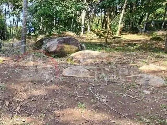 Terreno / Lote para Venda em Ilhabela/SP São Pedro