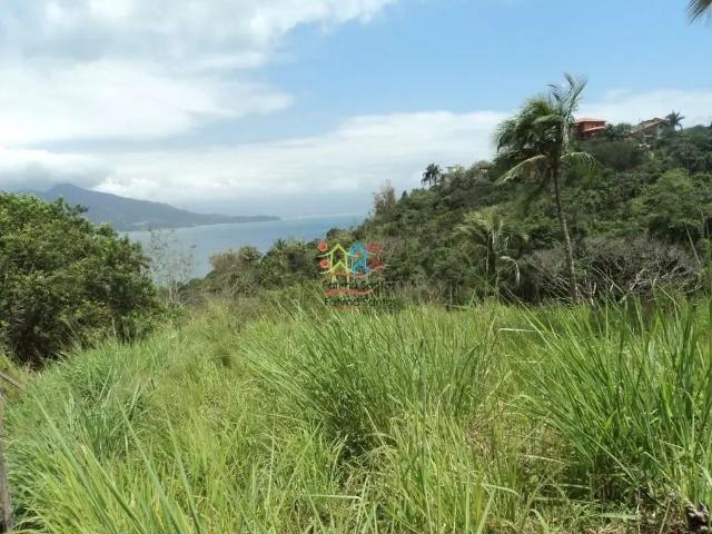 Terreno / Lote para Venda em Ilhabela/SP Siriuba
