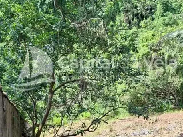 Terreno / Lote para Venda em Ilhabela/SP Siriuba