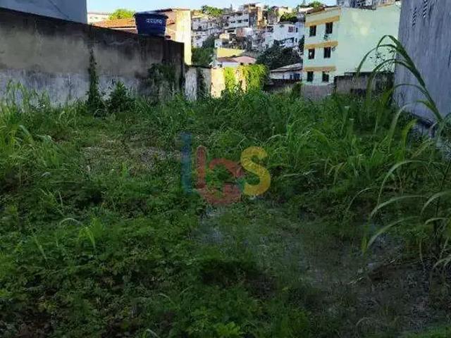 Terreno / Lote para Venda em Ilhéus/BA Teresópolis