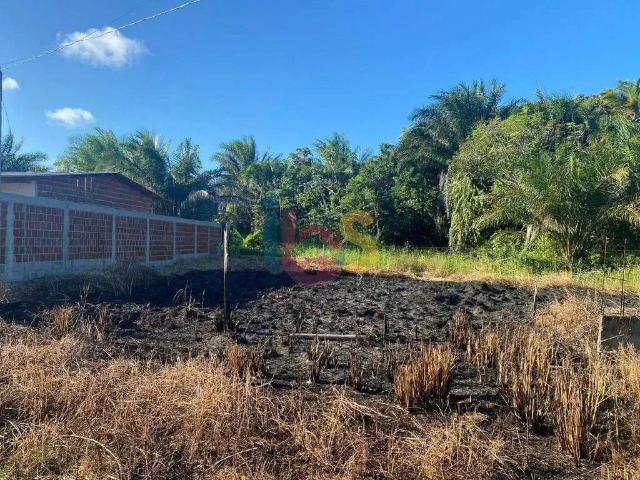 Terreno / Lote para Venda em Ilhéus/BA Aritaguá