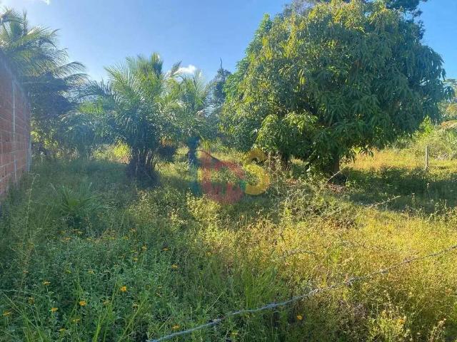 Terreno / Lote para Venda em Ilhéus/BA Aritaguá