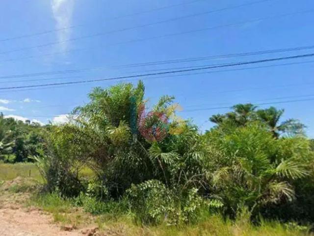 Terreno / Lote para Venda em Ilhéus/BA Aritaguá