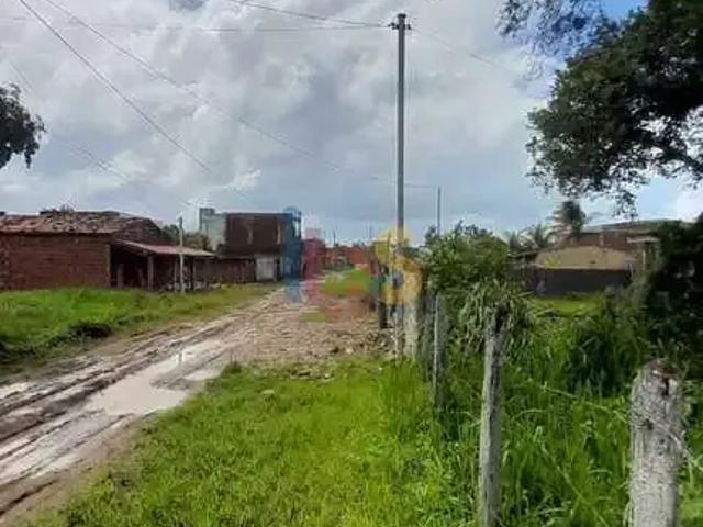 Terreno / Lote para Venda em Ilhéus/BA Aritaguá