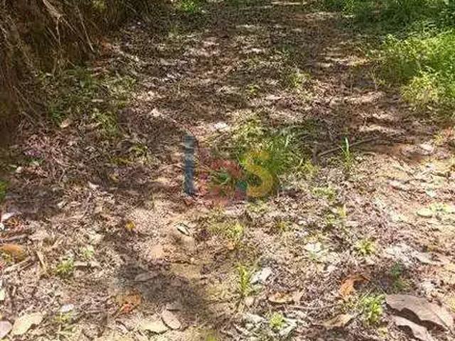 Terreno / Lote para Venda em Ilhéus/BA Sambaituba