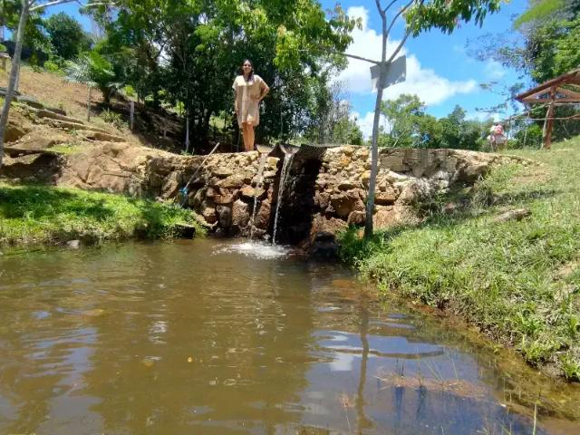 Terreno / Lote para Venda em Ilhéus/BA Coutos
