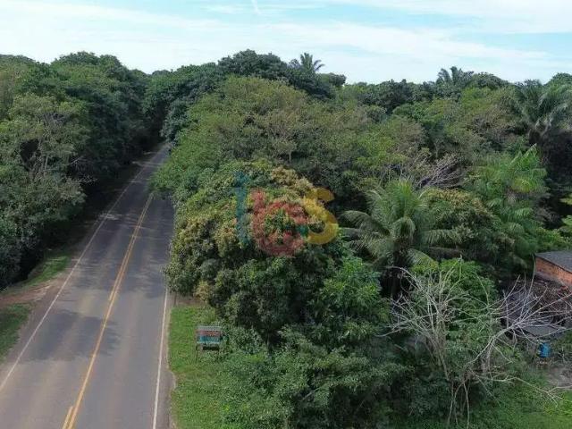 Terreno / Lote para Venda em Ilhéus/BA Malhado