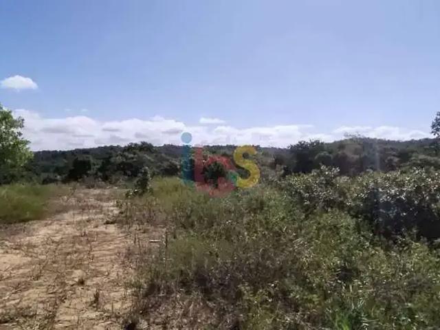 Terreno / Lote para Venda em Ilhéus/BA Nossa Senhora da Vitória