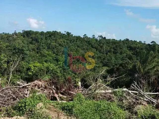 Terreno / Lote para Venda em Ilhéus/BA Nossa Senhora da Vitória