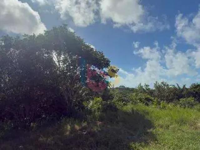 Terreno / Lote para Venda em Ilhéus/BA Nossa Senhora da Vitória