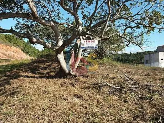 Terreno / Lote para Venda em Ilhéus/BA Nossa Senhora da Vitória