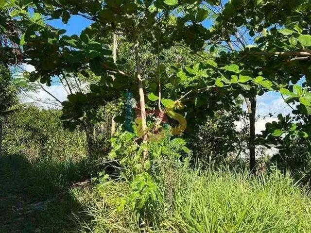 Terreno / Lote para Venda em Ilhéus/BA Nossa Senhora da Vitória
