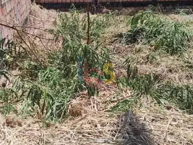 Terreno / Lote para Venda em Ilhéus/BA Olivença