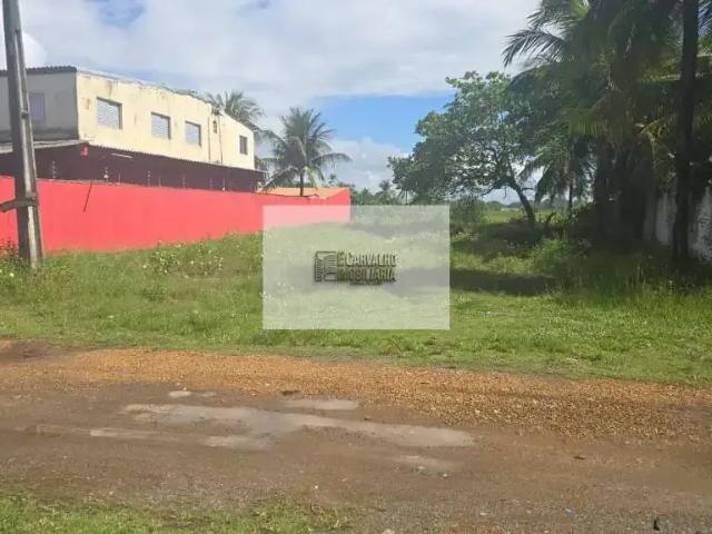 Terreno / Lote para Venda em Ilhéus/BA São Domingos