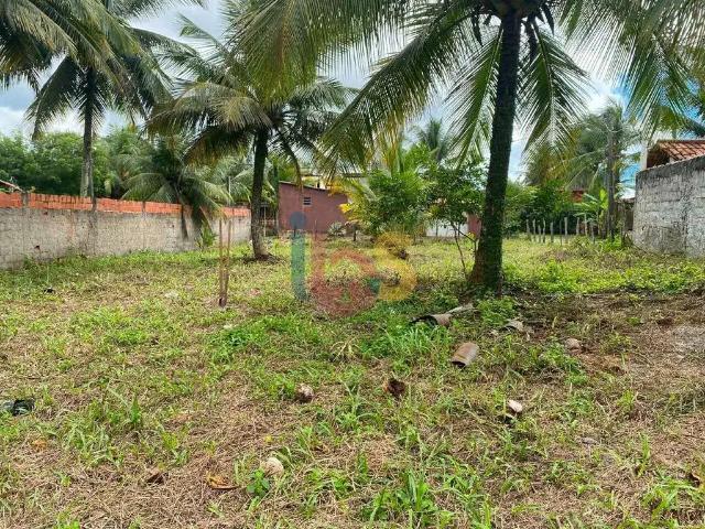 Terreno / Lote para Venda em Ilhéus/BA São Domingos
