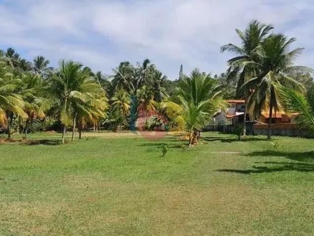 Terreno / Lote para Venda em Ilhéus/BA São Domingos