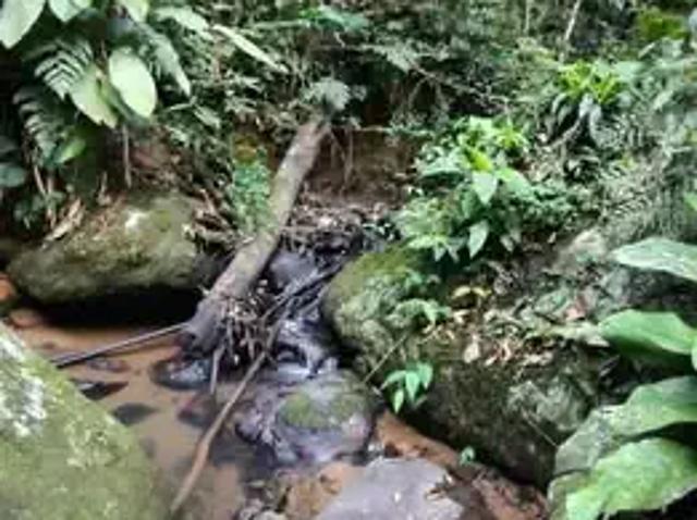 Terreno / Lote para Venda em Ilhota/SC Zona Rural