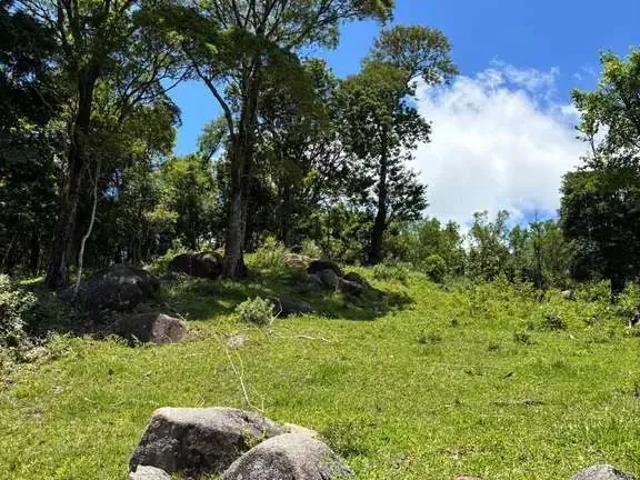 Terreno / Lote para Venda em Imaruí/SC Aratingauba