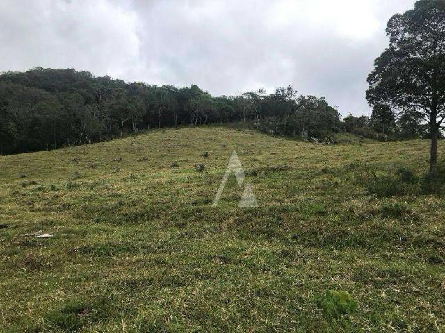 Terreno / Lote para Venda em Imaruí/SC Cangueri Quadro