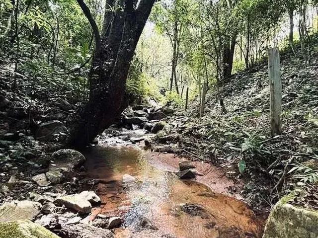 Terreno / Lote para Venda em Imaruí/SC Cangueri Quadro