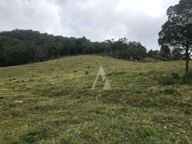 Terreno / Lote para Venda em Imaruí/SC Cangueri Quadro
