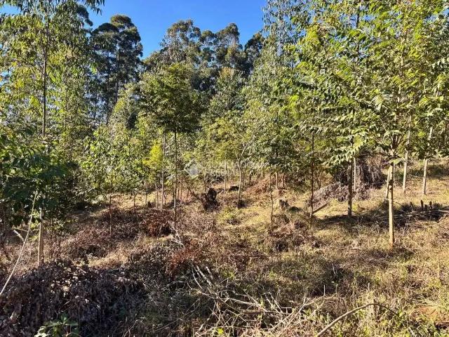 Terreno / Lote para Venda em Imaruí/SC Centro