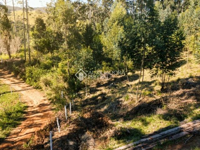 Terreno / Lote para Venda em Imaruí/SC Centro