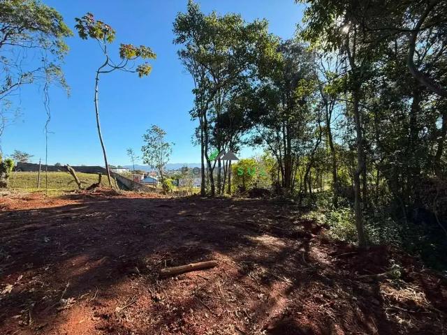 Terreno / Lote para Venda em Imaruí/SC Centro