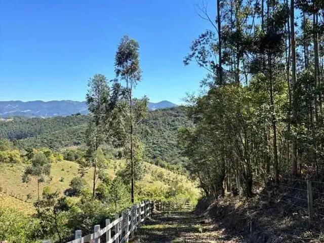 Terreno / Lote para Venda em Imaruí/SC Centro
