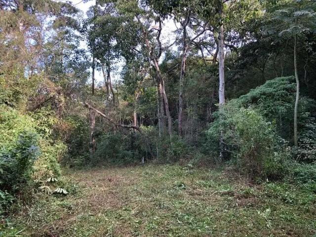 Terreno / Lote para Venda em Imaruí/SC Fazenda São Paulo