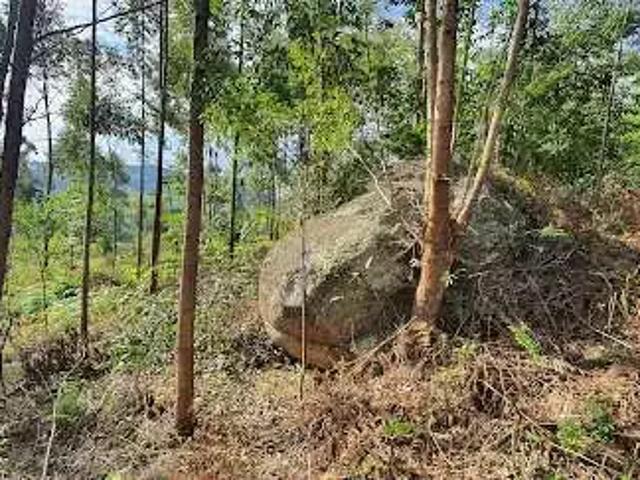 Terreno / Lote para Venda em Imaruí/SC Ponta Grossa