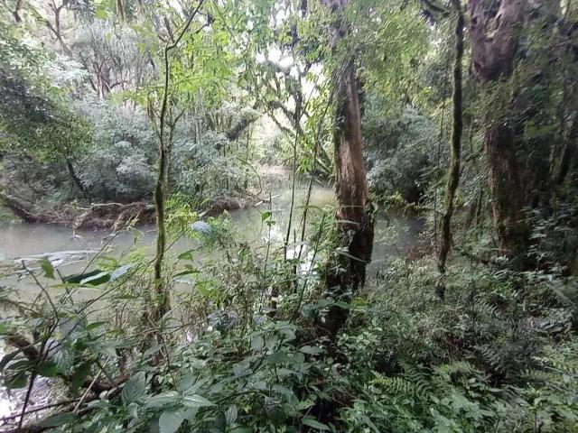 Terreno / Lote para Venda em Imbituva/PR Centro