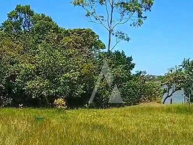 Terreno / Lote para Venda em Imbituba/SC Alto Arroio