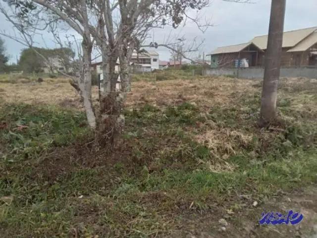 Terreno / Lote para Venda em Imbituba/SC Balneário Solimar