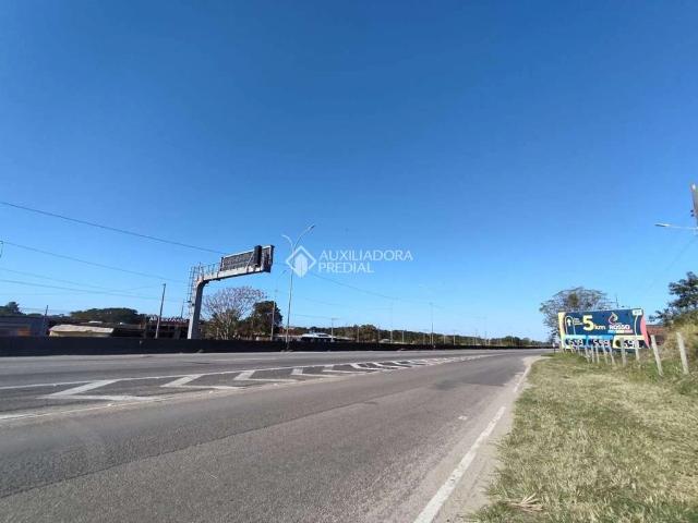 Terreno / Lote para Venda em Imbituba/SC Guaiuba