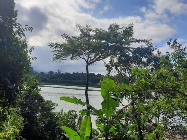 Terreno / Lote para Venda em Imbituba/SC Ibiraquera
