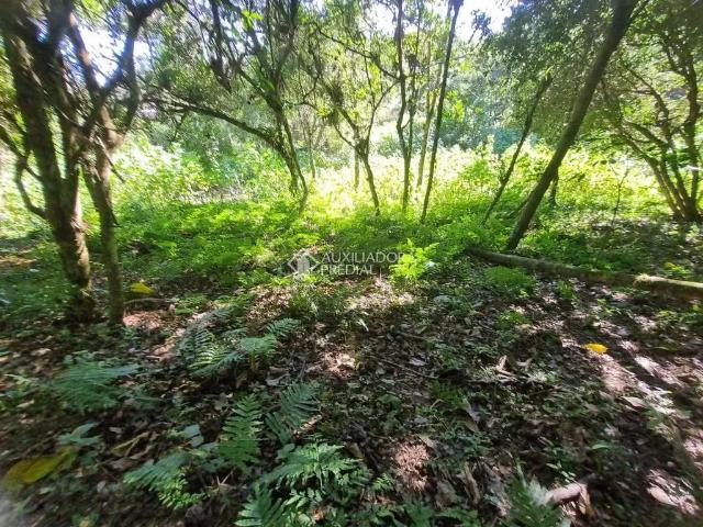 Terreno / Lote para Venda em Imbituba/SC Praia do Rosa